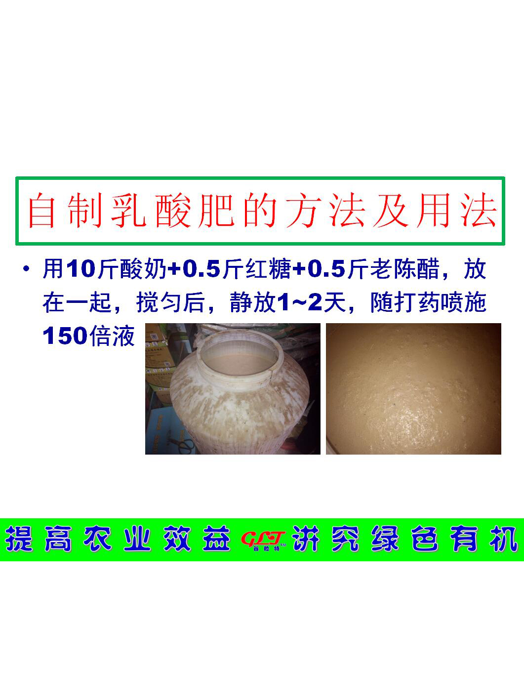 自制乳酸肥的方法及用法