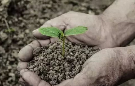 生物有机肥有什么功效和作用